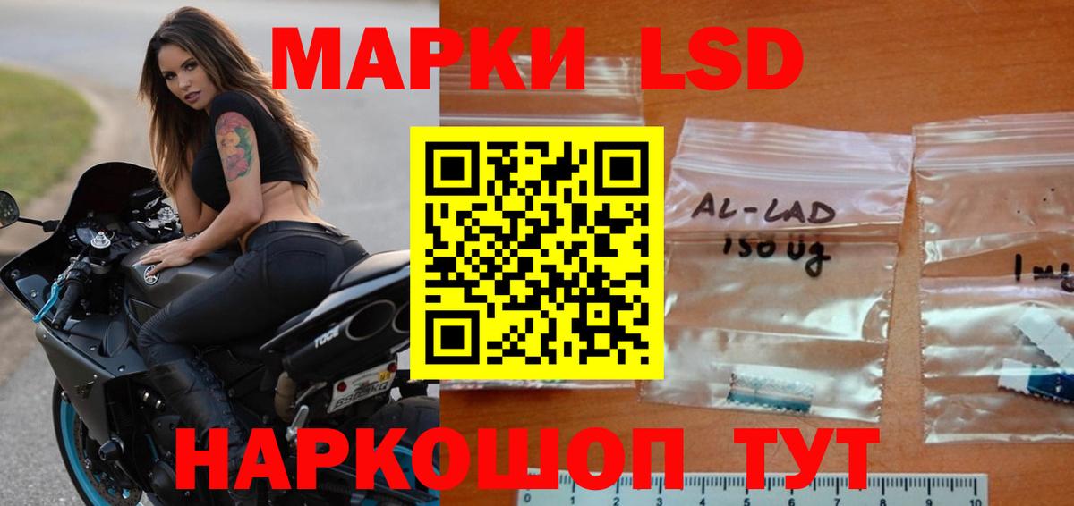 Шадринск  OMG ТОР  Вход с VPN  ЛСД экстази ecstasy  LSD-25 экстази ecstasy 