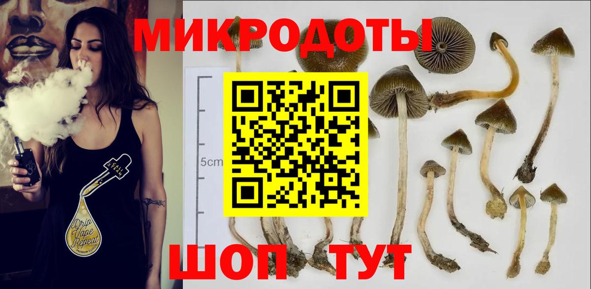Шадринск  Псилоцибиновые грибы мухоморы  Вход с VPN  Галлюциногенные грибы мицелий 