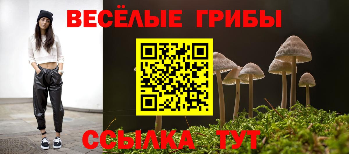 Псилоцибиновые грибы мицелий Шадринск